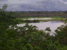 Imagen Lago Tarapoto